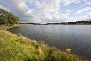tatton park lake 1 sm.jpg